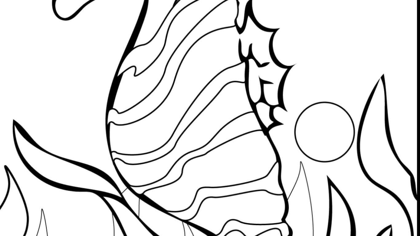 1366x768 Findish Hidden In The Coral Reef Coloring Pageree Printable