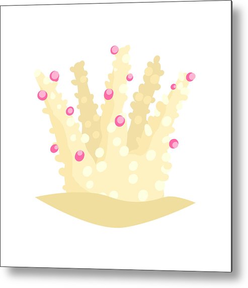 493x572 Natural Sea Coral From Tropical Reefs Aquarium Design Element