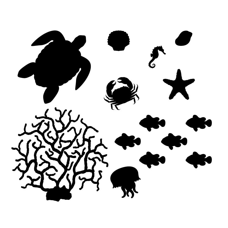 900x900 Clam Drawing Coral For Free Download