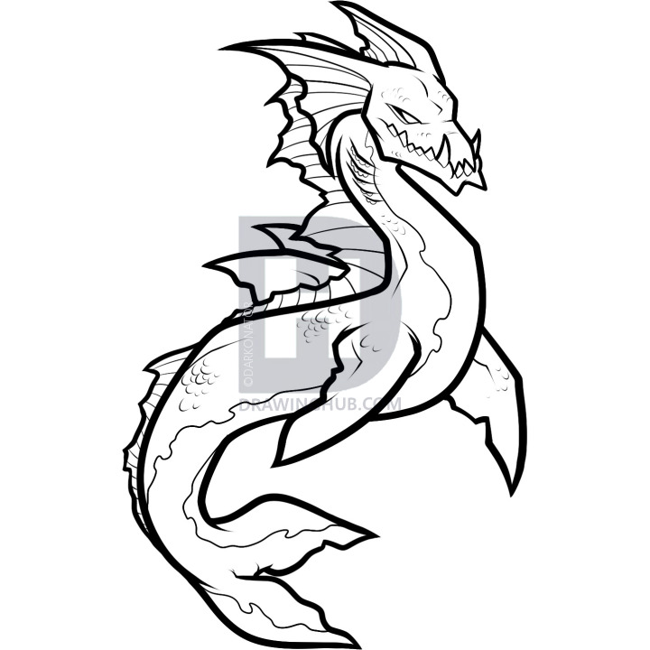 720x720 Sea Creature Drawing