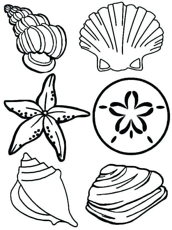 600x800 Sea Creatures Coloring Pages Unique Collection Of Under The Sea