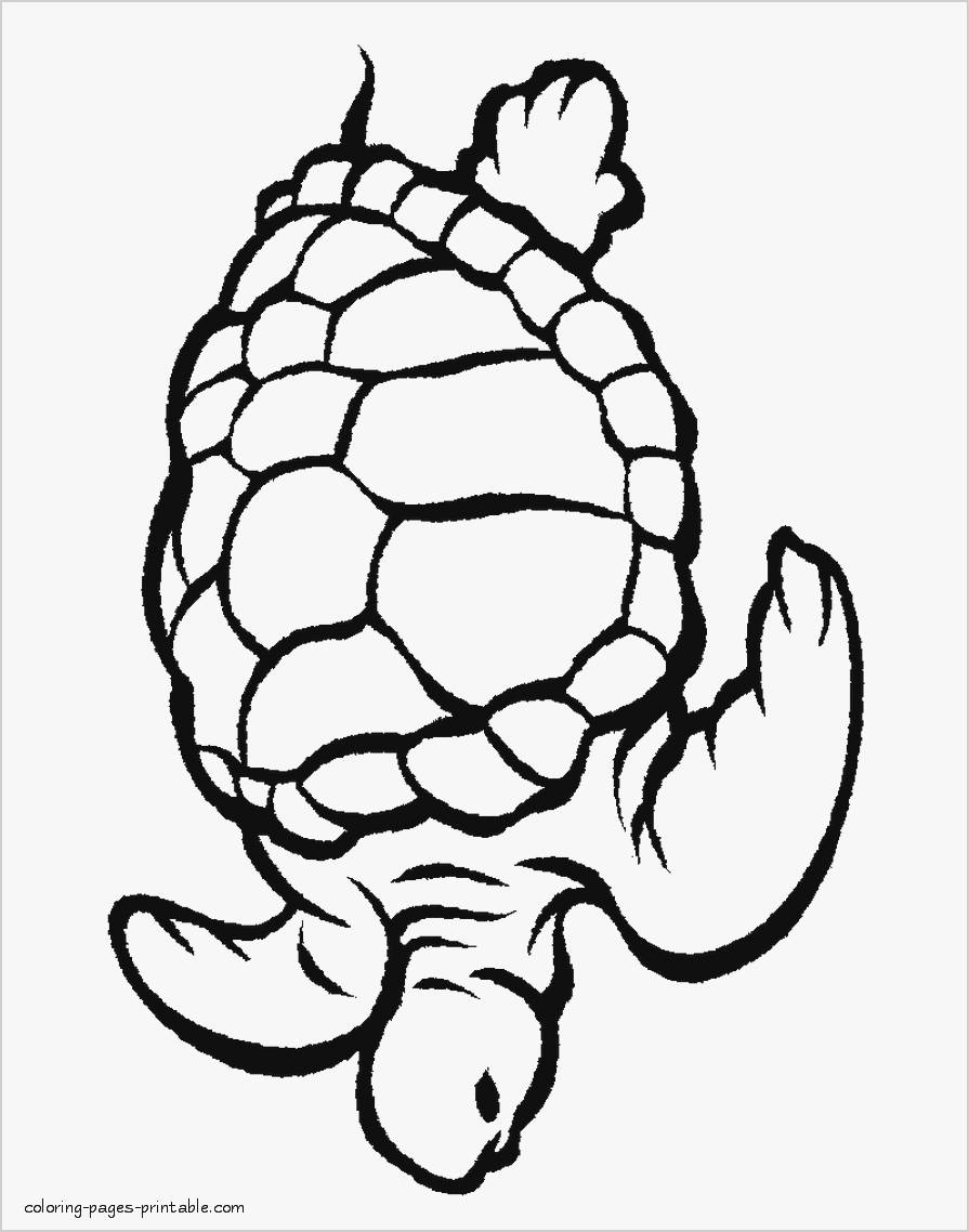 895x1138 Fresh Sea Creatures Coloring Pages Coloring Pages
