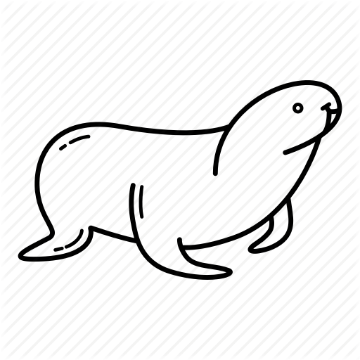 512x512 Collection Of Free Seal Drawing Sea Creature Download On Ui Ex