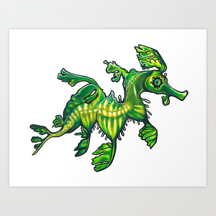 700x700 Leafy Sea Dragon Art Print