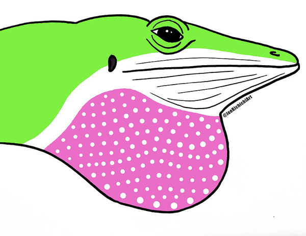 600x463 Sea Dragon Drawings Fine Art America