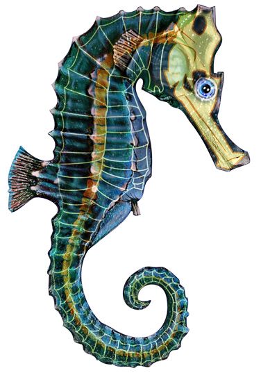 376x550 Seahorse Drawing
