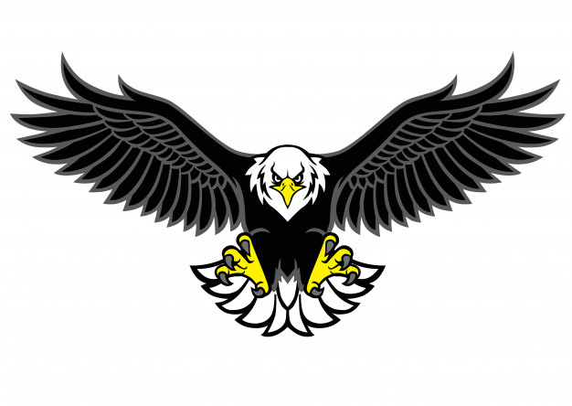 626x444 Eagle Draw Vectors, Photos And Free Download