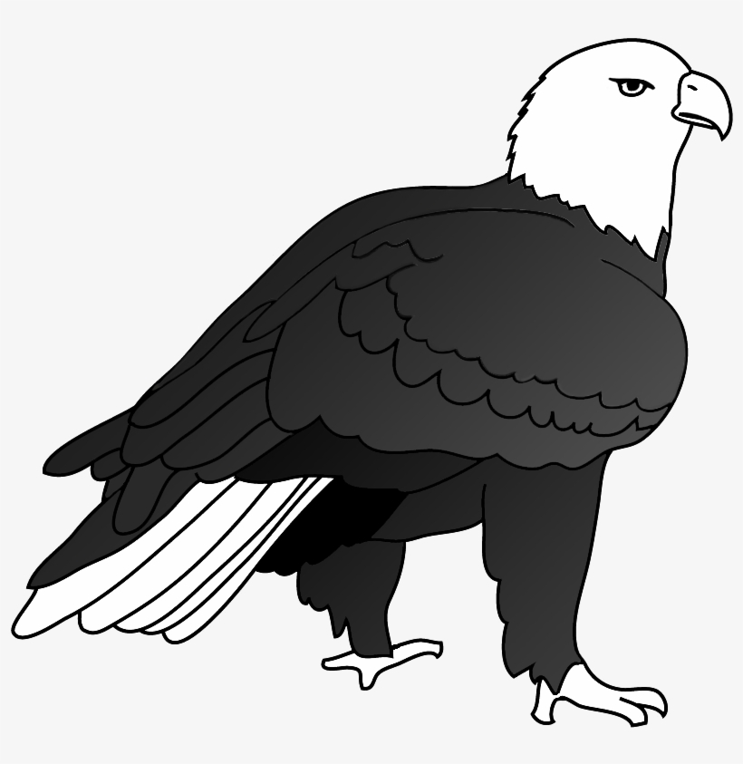 820x843 Eagle Drawing Outlined