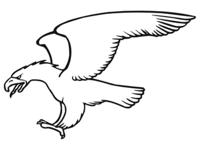 640x480 free harpy eagle clipart, download free clip art