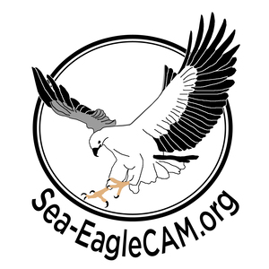 300x300 Sea Eaglecam Live Video Chat