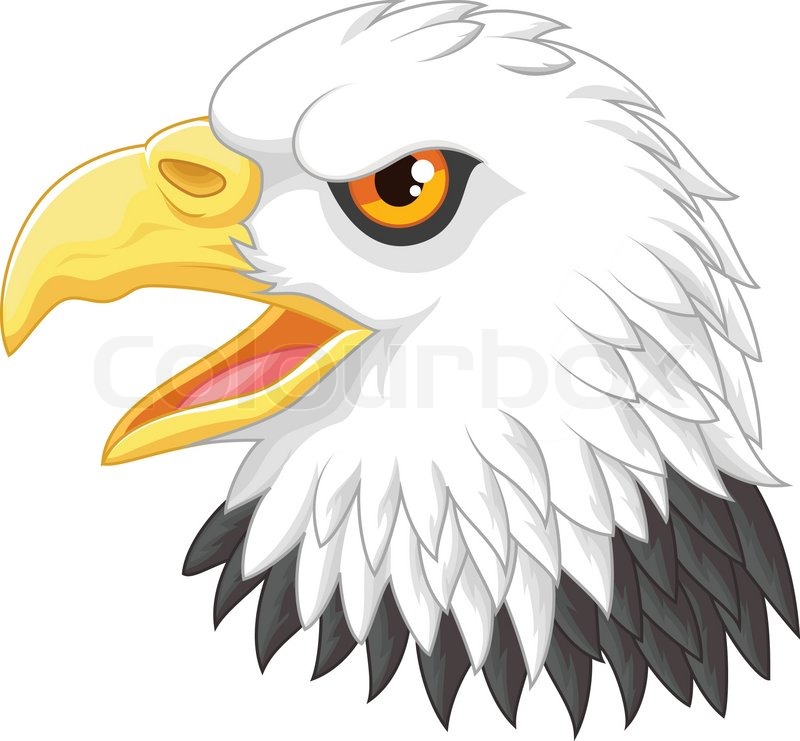 800x741 Vector Illustration Of Eagle Head Stock Vector Colourbox