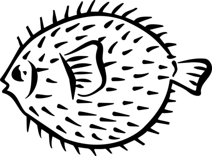 733x541 pufferfish drawing sea fish for free download