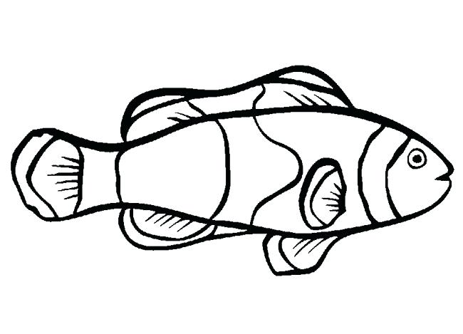 650x469 Sea Fish Coloring Pages Funny