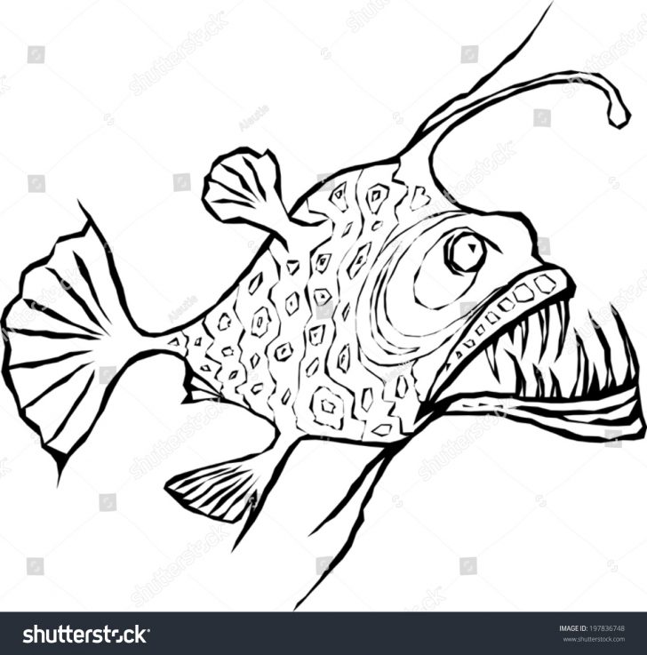 728x737 deep sea angler fish drawing pencil easy step