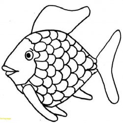 250x250 deep sea angler fish drawing tutorial step simple of iydunetwork