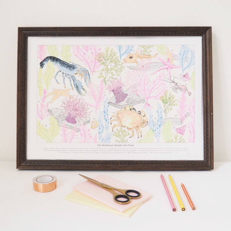 800x799 Natural History Plate