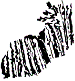 315x343 Chapter Summary Physical Geology