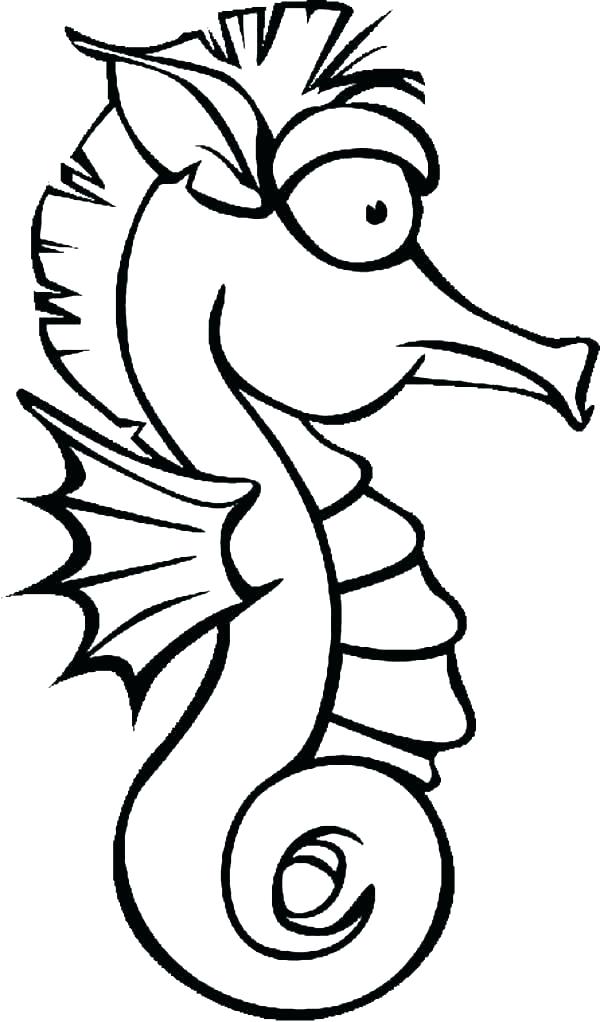 600x1022 drawing a seahorse seahorse drawing seahorse