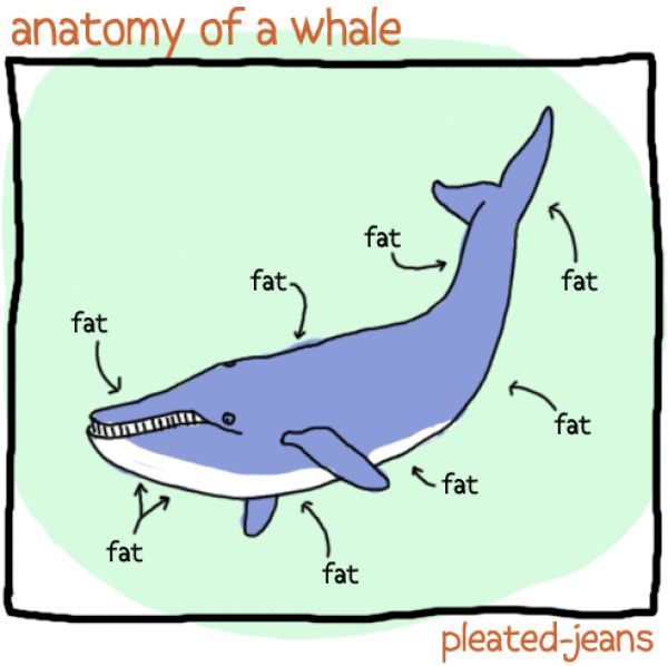 600x598 Funny Sea Life Drawings