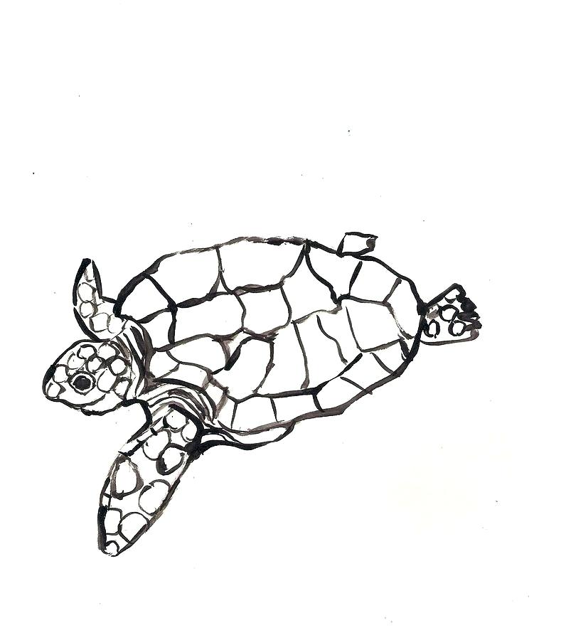 796x900 How To Draw A Simple Turtle How To Draw A Simple Turtle A Draw