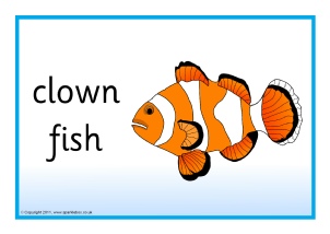 302x214 Ocean Sea Life Primary Teaching Resources And Printables