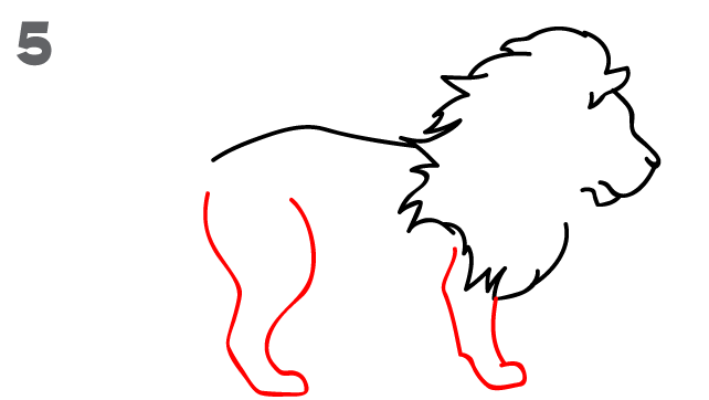 642x362 Easy Lion Drawing How To Draw A Step
