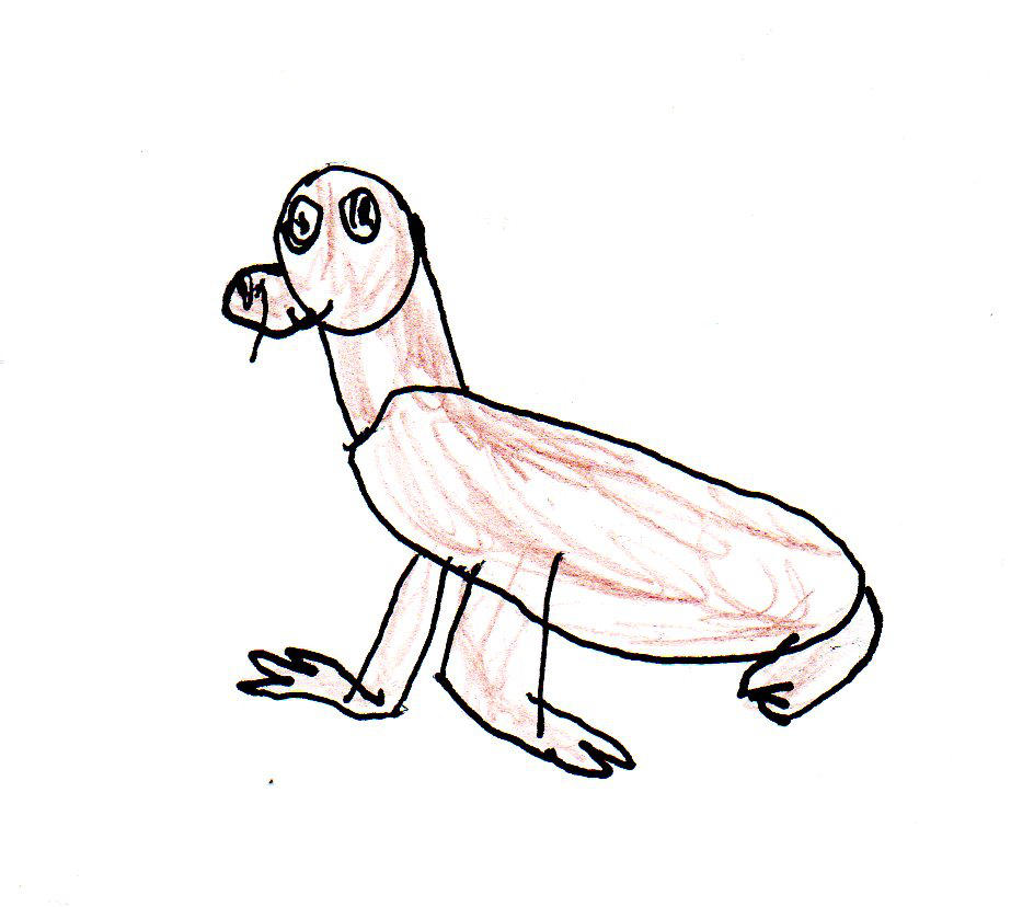 923x828 Harry The Sea Lion