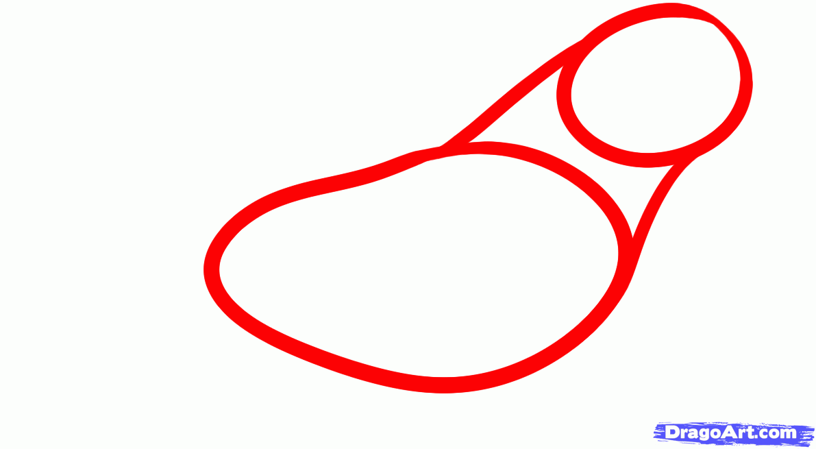 1191x655 how to draw a sea lion, sea lion, step