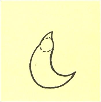 350x355 How To Draw A Sea Lion