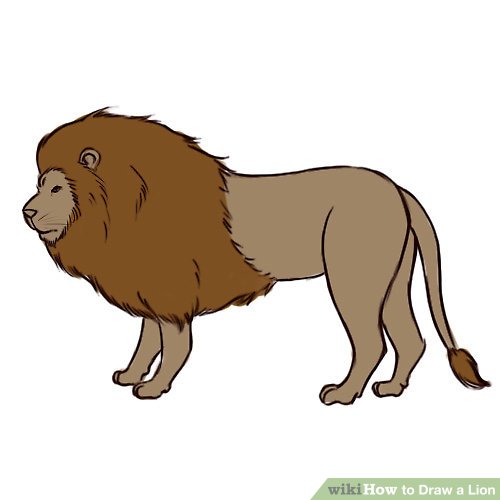 500x500 Colored Lion Diagram