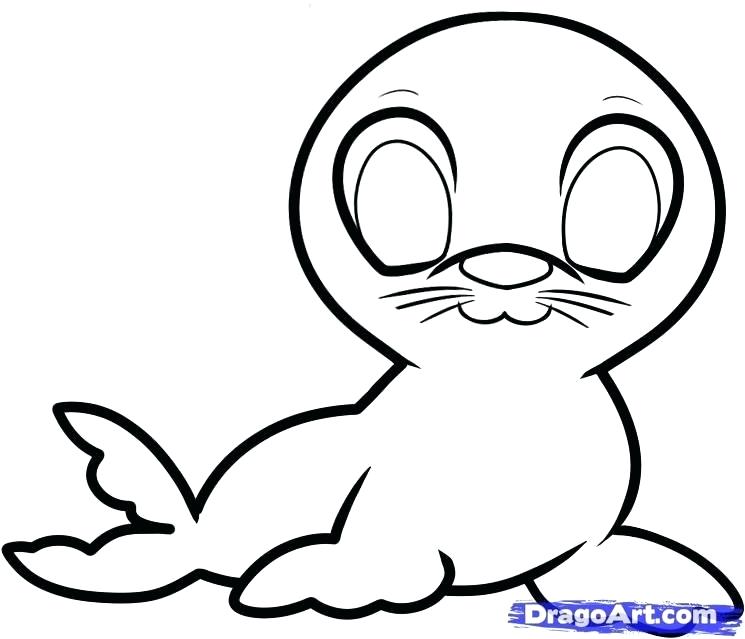 745x639 Draw A Seal Draw Steller Sea Lion