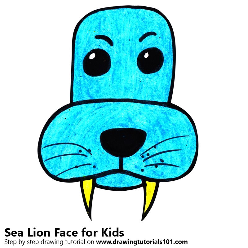 800x800 Learn How To Draw A Sea Lion Face For Kids