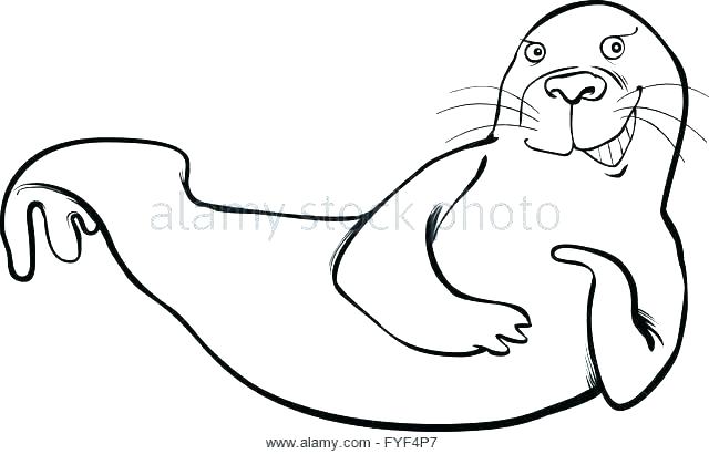 640x410 Sea Lion Coloring