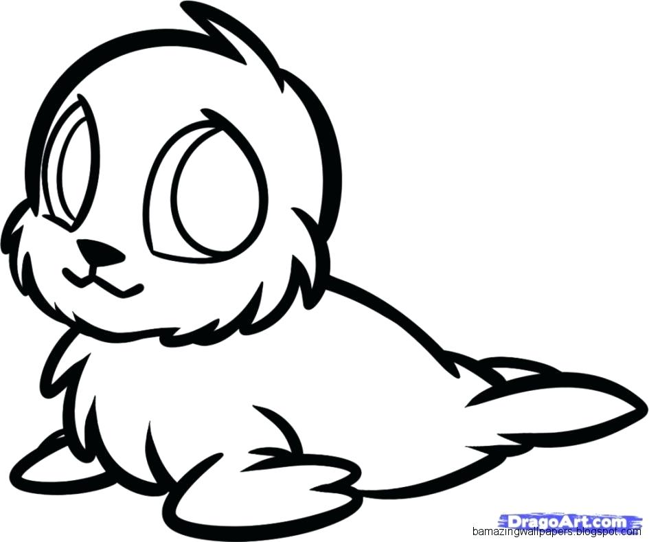 945x789 Draw A Seal Nip