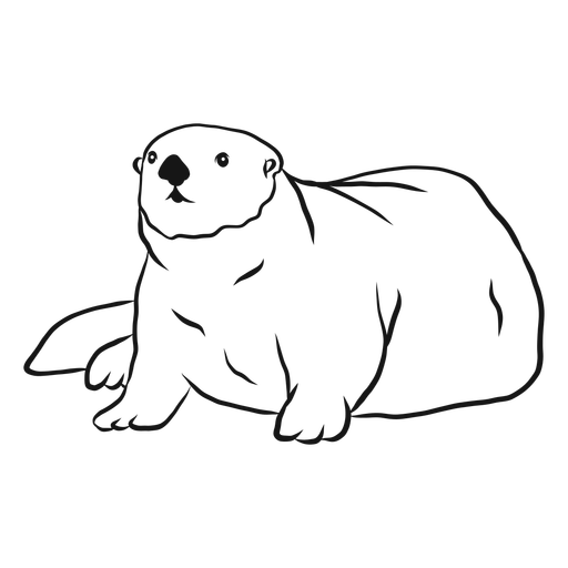 512x512 Sea Otter Muzzle Tail Fat Sketch