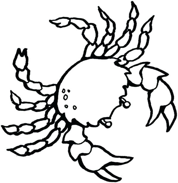 600x616 Ocean Plants Coloring Pages As Of The Sea Printable Drawing