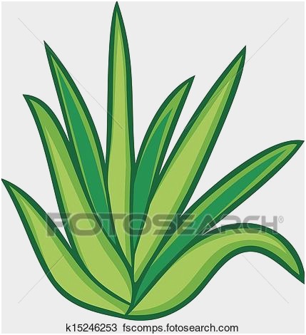 429x470 Plant Clipart Beautiful Potted Plant Drawing Mower Clipart