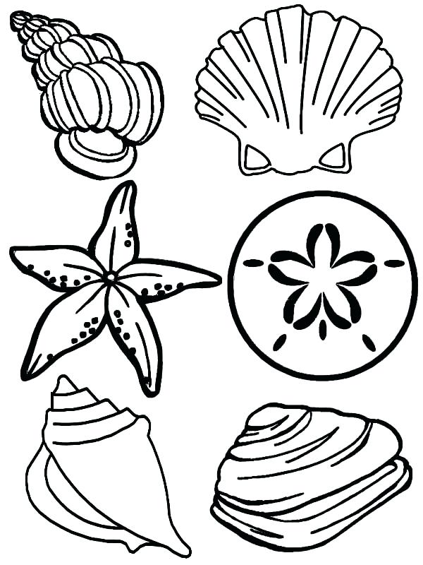 600x800 sea plants coloring pages sea plants coloring pages realistic eye
