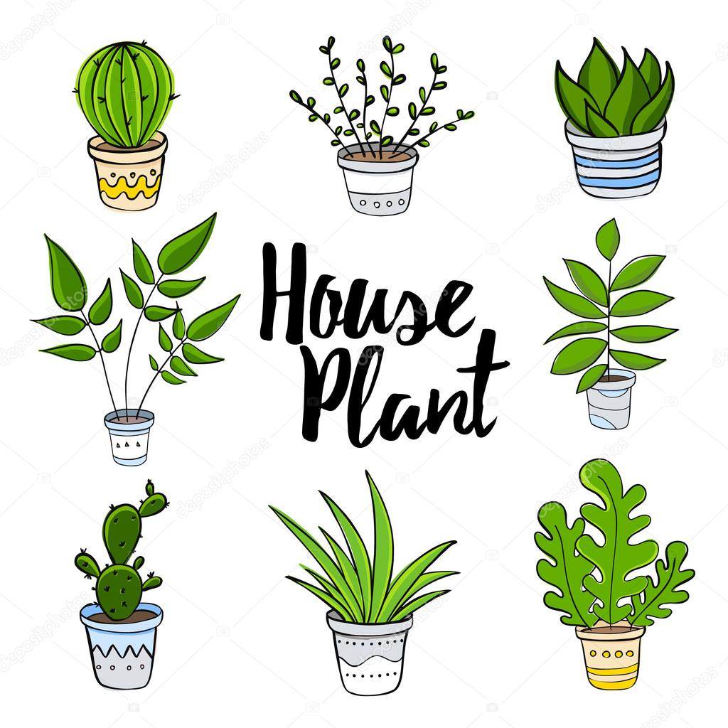1024x1024 Collection Of Free Plant Clipart Draw Amusement Clipart Circus