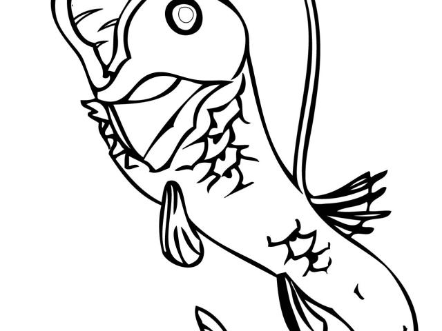640x480 free viperfish clipart, download free clip art
