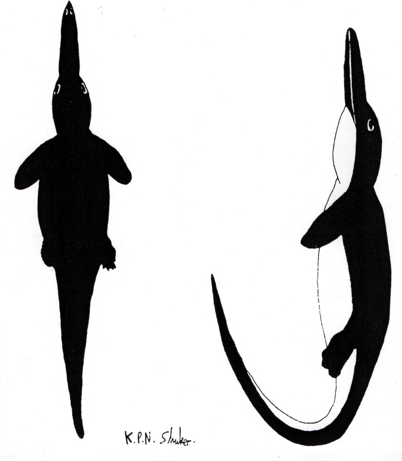 1394x1600 Shukernature Gambo, The Gambian Sea Serpent