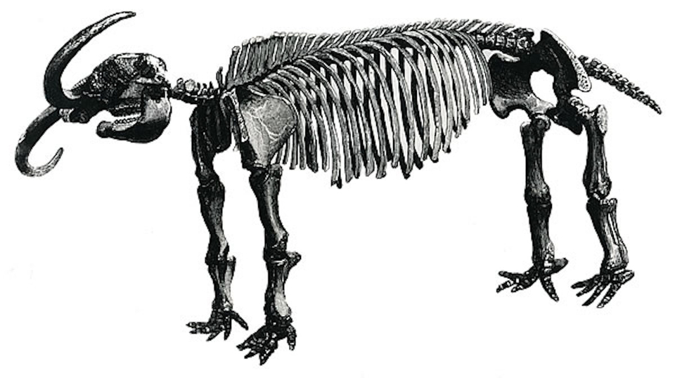 960x538 Where Be Monsters The Daedalus Sea Serpent And The War