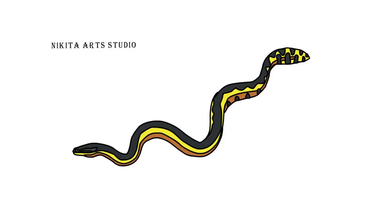 1280x720 Bellied Sea Snake Drawing Tutorial Part