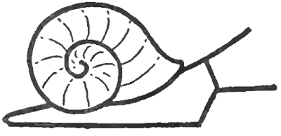 400x194 How To Draw Snails With Simple Step