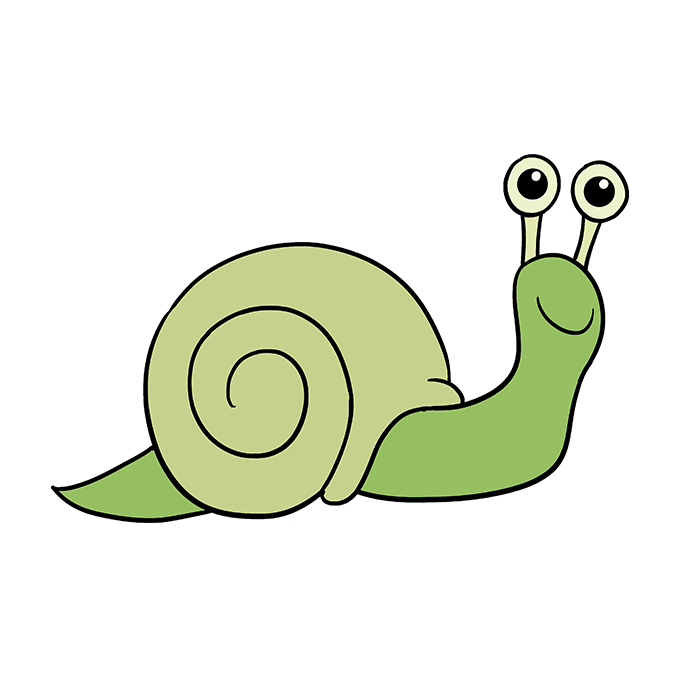 680x678 How To Draw A Snail