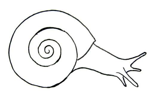 515x330 How To Draw A Snail