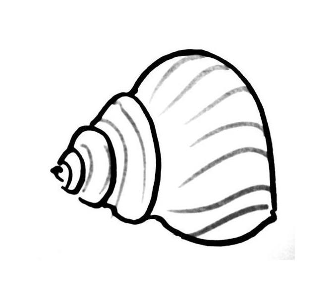 672x602 Sea Shell Coloring Pages