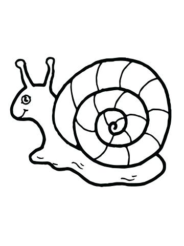 360x480 Snail Coloring