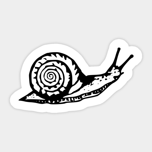 630x630 Snail Drawing