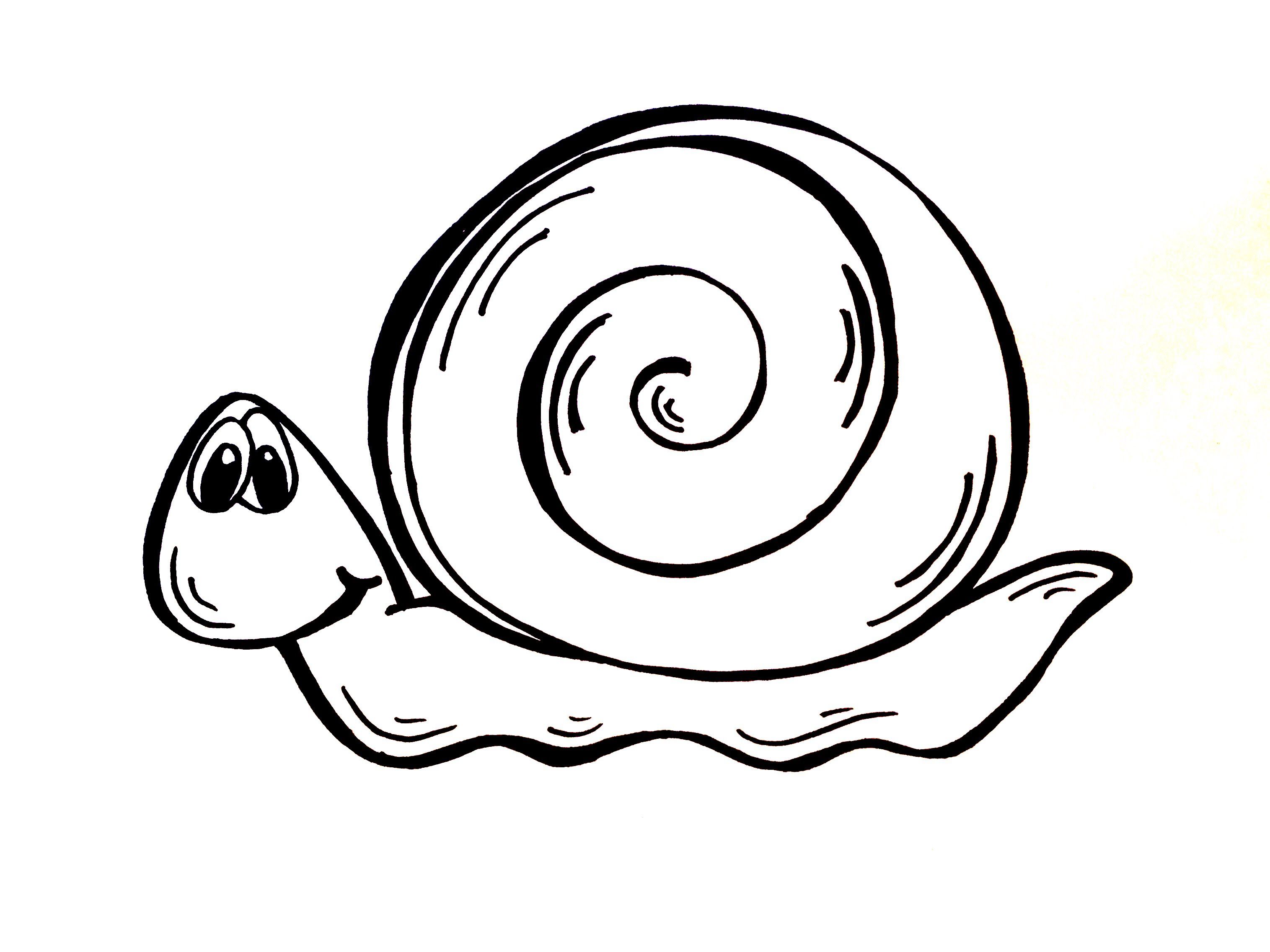 How To Draw An Easy Snail Simple Line Drawing For Kid - vrogue.co